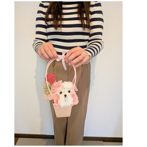 ��̓��M�t�g�@�v�[�h���A�����W�@2�F��肨�I�щ����� �y���������z���b�Z�[�W�J�[�h�t�@�@���b�s���O����_1