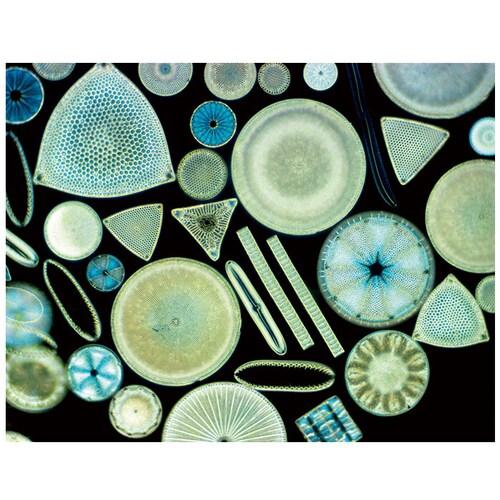 soil �\�C�� �C ���L ����邾�� L �В��� �ʔ� ���L�� �z���� �z�� �E�L�� �E�L �]���y �h���C���O�T�b�N DRYING SACK �N�c �j�I�C ���C �� ���� �L�� �X�j�[�J�[ �q�[�� _9