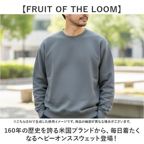 �t���[�c�I�u�U���[�� �g���[�i�[ �ʔ� FRUIT OF THE LOOM �X�E�F�b�g �g�b�v�X �X�E�F�b�g�g���[�i�[ ���� �����Y �V���v�� ���n ���j�Z�b�N�X ������� ���킢�� �N���[�l�b�N ��_1