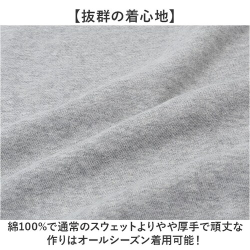 �t���[�c�I�u�U���[�� �g���[�i�[ �ʔ� FRUIT OF THE LOOM �X�E�F�b�g �g�b�v�X �X�E�F�b�g�g���[�i�[ ���� �����Y �V���v�� ���n ���j�Z�b�N�X ������� ���킢�� �N���[�l�b�N ��_3