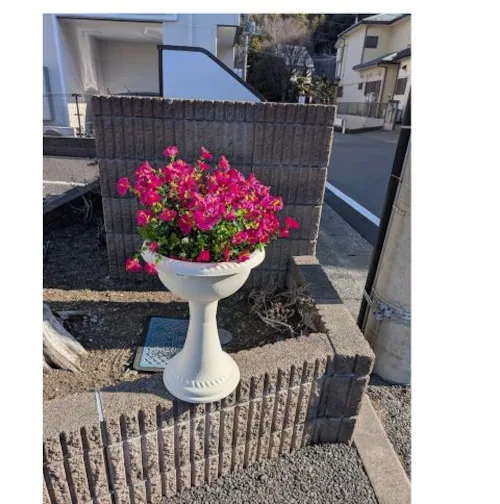 ���ԁ@�y�`�j�A�v�����^�[�@���|�@�V���[���[���@�V���b�s���O���[���@�Z��W�����@��������_4