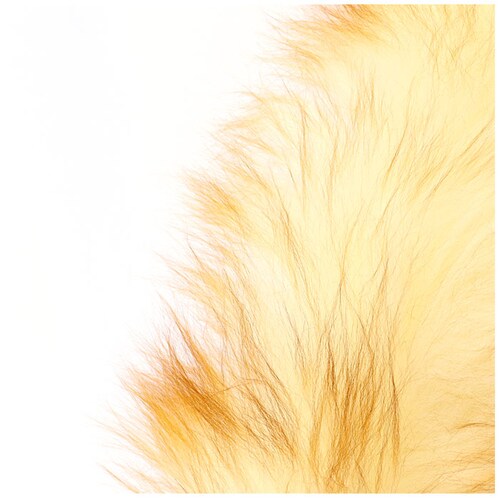 �E�[���_�X�^�[ LL�T�C�Y �ʔ� �n���f�B�_�X�^�[ �ق����� �z�R����� ���Ƃ� �͂��� �r�у_�X�^�[ �n�^�L �n���f�B���b�v �傫�� �|�� ���|�� �|���p�i �|������ ������ �V����_9