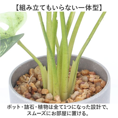 �ϗt�A�� �t�F�C�N ��^ �ʔ� �t�F�C�N�O���[�� �A�[�e�B�t�B�V�����O���[�� �C���e���A�O���[�� �l�H�ϗt�A�� �傫�� ���A�� �|�b�g ���� ���r���O �I�t�B�X �X�� ������� �V���� �����z�� �M�t_6