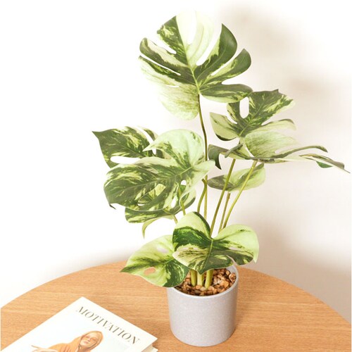 �ϗt�A�� �t�F�C�N ��^ �ʔ� �t�F�C�N�O���[�� �A�[�e�B�t�B�V�����O���[�� �C���e���A�O���[�� �l�H�ϗt�A�� �傫�� ���A�� �|�b�g ���� ���r���O �I�t�B�X �X�� ������� �V���� �����z�� �M�t_10