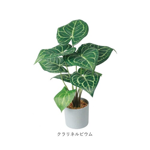 �ϗt�A�� �t�F�C�N ��^ �ʔ� �t�F�C�N�O���[�� �A�[�e�B�t�B�V�����O���[�� �C���e���A�O���[�� �l�H�ϗt�A�� �傫�� ���A�� �|�b�g ���� ���r���O �I�t�B�X �X�� ������� �V���� �����z�� �M�t_12