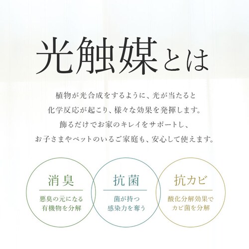 ���G�} �t�F�C�N�O���[�� �ʔ� �ϗt�A�� �t�F�C�N �O���[���u�b�V�� CT�G�} �݂艺�� �n���M���O ���L �R�� �h�� ��C���� �C�~�e�[�V�����O���[�� ���r���O ���� ������� ���킢�� �V���� �C_2