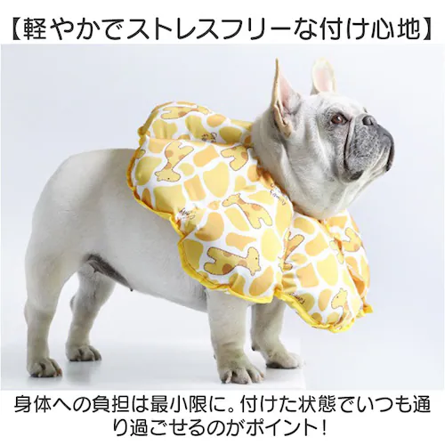 �G���U�x�X�J���[ �\�t�g �y�b�g�p �ʔ� �\�t�g�G���U�x�X�J���[ �L�p�G���U�x�X�J���[ ���p�G���U�x�X�J���[ �y�� �y�� ���炩 �_�炩�� �p�� ��p�� �y�b�g �� ���� �L �˂� �l�R ���킢�� _3