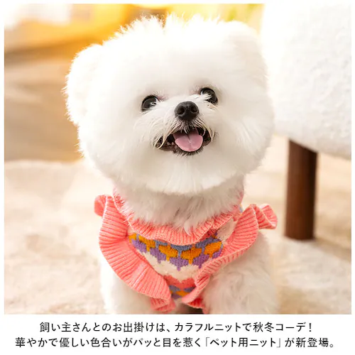 �y�b�g�� �Z�[�^�[ �j�b�g �� �L �ʔ� �h�b�O�E�F�A �L���b�g�E�F�A ���̕� ���� �L�� �y�b�g �� ��{�� �����u ���킢�� ���� ���� �l�R ��������� ���^�� ���p ���o�|�� �H �~ �h�� _1