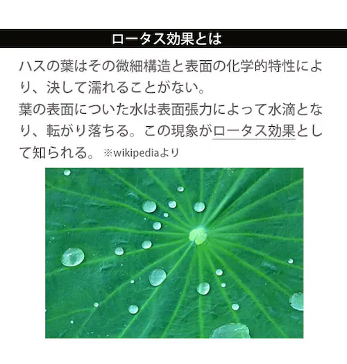 ハイテクナノプロテクター 250ml タラゴ TARRAGO 通販 防水スプレー 強力防水 撥水 はっ水 汚れ防止 雨対策 雪対策 防油 保護スプレー ロータス効果 ブーツ アウトドアウェア スポーツ_2
