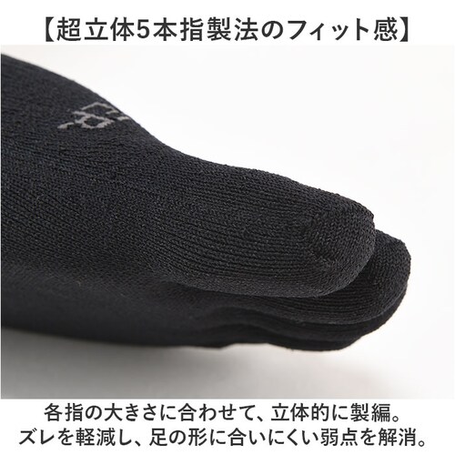 R�~L �A�[���G�� �\�b�N�X 5�{�w JPS5001 �ʔ� 5�{�w�\�b�N�X �ܖ{�w�\�b�N�X �����j���O�\�b�N�X �����Y�\�b�N�X ���f�B?�X�\�b�N�X �C�� ������ ���� �ܖ{�w �����j���O �y�� �y_3