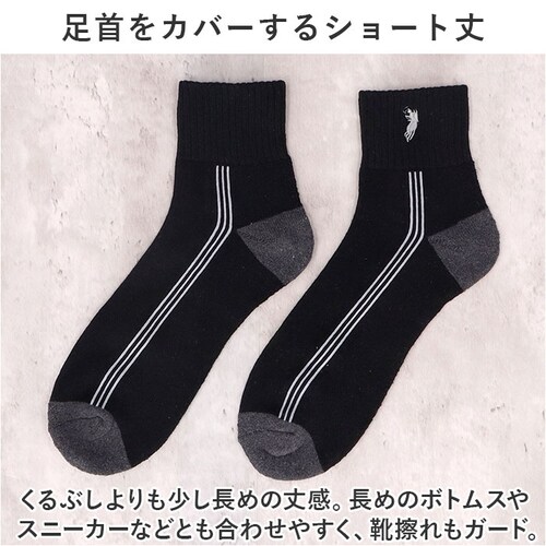 �C�� �����Y 12���g �ʔ� �\�b�N�X �C���� �X�|�[�c�\�b�N�X �V���[�g�\�b�N�X ���� �a�m�C�� �A���N���b�g�\�b�N�X �A���N���\�b�N�X �����Y�\�b�N�X�Z�b�g ������� 25?27cm ������ _3