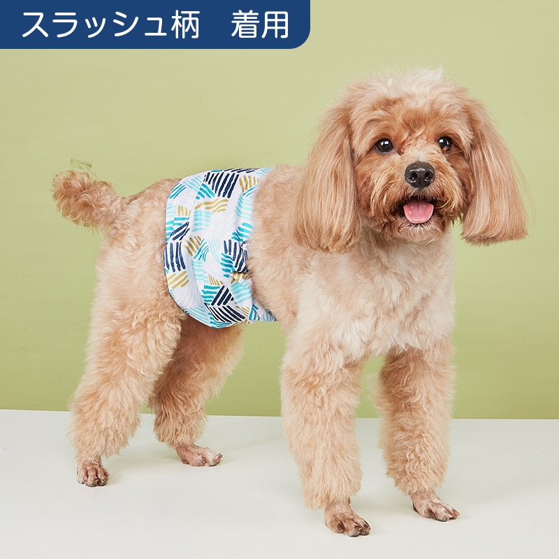 犬用 宇宙 XS マナーベルト 犬 オス 男の子 ズレない 防水 マナー