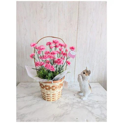 ���ԁ@��̓��J�[�l�[�V�����A�����W�@�y��؂Ȃ��ꂳ��ւ̑��蕨�z�@�y���ӂ����߂����蕨�z�Q�F��肨�I�щ������@�@�y���������z�y���[�Z�[�W�J�[�h�t�z_2