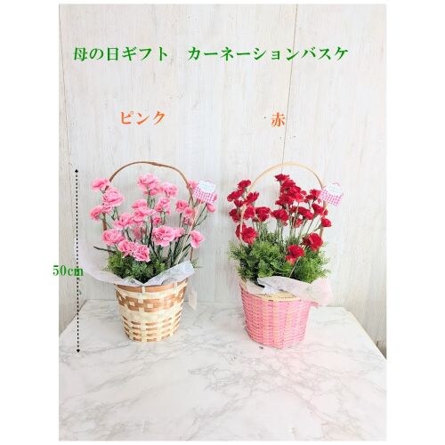 ���ԁ@��̓��J�[�l�[�V�����A�����W�@�y��؂Ȃ��ꂳ��ւ̑��蕨�z�@�y���ӂ����߂����蕨�z�Q�F��肨�I�щ������@�@�y���������z�y���[�Z�[�W�J�[�h�t�z_4