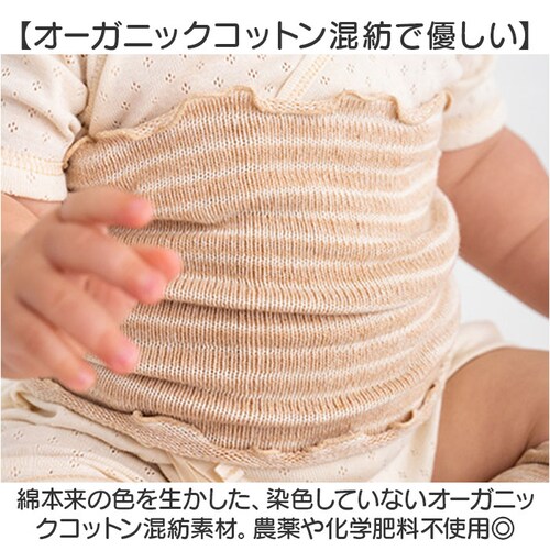 POMPKINS �|�v�L���Y ���Ȃ��E�H�[�}�[ �j�b�g �I�[�K�j�b�N �ʔ� ���{�� ���� ������ �n���}�L �͂�܂� �x�r�[ �Ԃ���� �R�b�g�� �I�[�K�j�b�N�R�b�g�� �j�̎q ���̎q �V���v�� ���킢_2