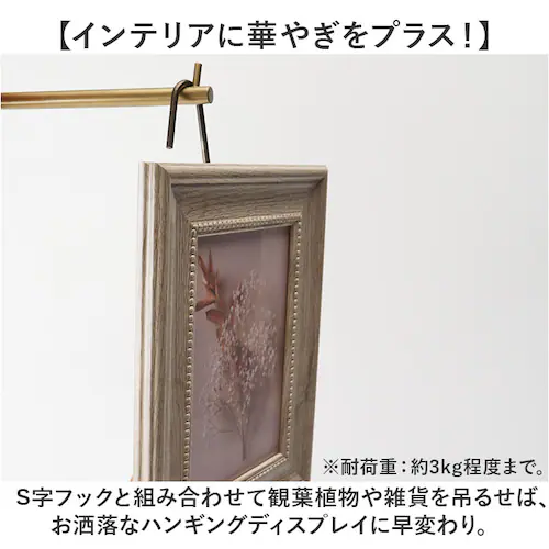 �A�C�A���t�b�N ������� �ʔ� �t�b�N �l�W�~�� �Ǌ|���t�b�N 3kg �Ǌ|������ �t�b�N�n���K�[ �Ǌ|�� ���[ �I�V���� �V���v�� �����|�� ���� �L�� POSH LIVING �|�b�V�����r���O �A_5