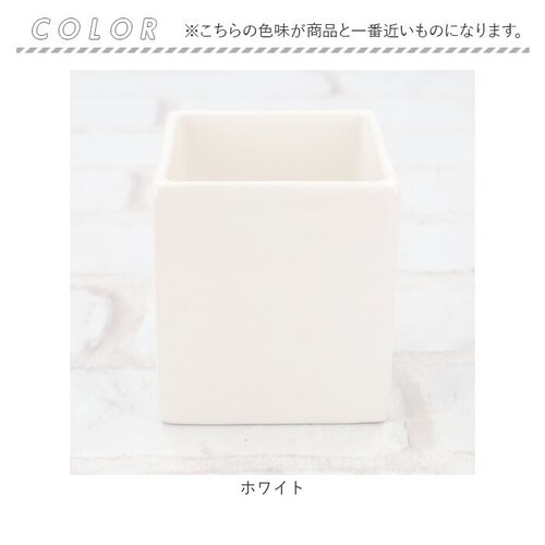 �������� ���� ���� �ʔ� �R�b�g���{�b�N�X �Ȗ_���� ���[�{�b�N�X ���� ���[ �����P�[�X �e�� �R�b�g���P�[�X ���u���V ���σu���V���� ���ʑ� ���ʏ� �T�j�^���[ ���� ���킢�� ������� �V_9