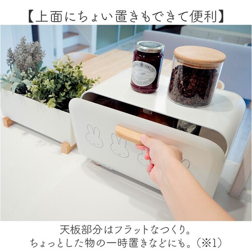 Dick Bruna �f�B�b�N�u���[�i �u���b�h�P�[�X M �L�����N�^�[ �ʔ� ���[�P�[�X ���[ �P�[�X �p���P�[�X ���[�{�b�N�X �{�b�N�X �X�g�b�N �������� �k�� �R���p�N�g?��� miffy �~_5