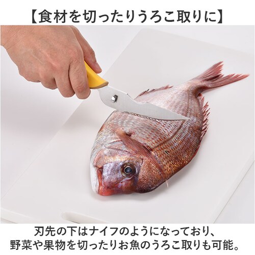 �L�b�`���o�T�~ ���� �ʔ� ���@�\�͂��� �L�b�`���͂��� �͂��� �n�T�~ ��ɕ��� ���[�P�[�X �����n�T�~ ������ꃉ�N �����΂��� ������� �傫�߃n���h�� ������� �L�b�`���p�i �A�E�g�h�A �V_3