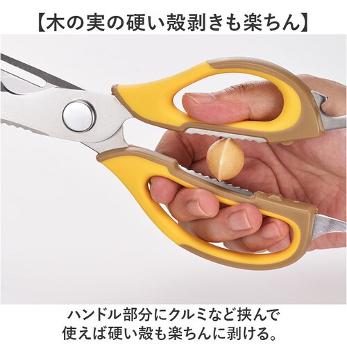 �L�b�`���o�T�~ ���� �ʔ� ���@�\�͂��� �L�b�`���͂��� �͂��� �n�T�~ ��ɕ��� ���[�P�[�X �����n�T�~ ������ꃉ�N �����΂��� ������� �傫�߃n���h�� ������� �L�b�`���p�i �A�E�g�h�A �V_5