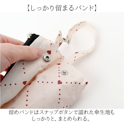 �܂肽���ݎP ���f�B�[�X 55cm �ʔ� �܂��ݎP �ϕ��P �܂肽���� �P �J�P ���� �J�T �ϕ� 55�Z���` ���킢�� ������� ��l ���� �I�V���� �ʋ� �ʊw �����p ���� ���[���₷�� �J_6