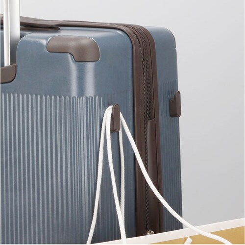 Lee �X�[�c�P�[�X �ʔ� �L�����[�P�[�X ���[ �g�� �C�O���s �L�����[�o�b�O ������� �V���v�� ��e�� �d�� �u�����h �o�� �C�w���s �g�����N �r�W�l�X ���s�o�b�O �g���x���o�b�O ���f�B�[�X_10