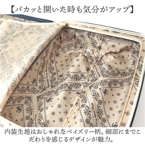 Lee ���[ �L�����[�o�b�O 320-9041 �ʔ� �L�����[�o�b�N �� 52L- 60L �L�����[�P�[�X �X�[�c�P�[�X �g�����N ���s�o�b�O ���s�J�o�� ������� ���f�B�[�X �����Y �o�b�O �o�b�N_9