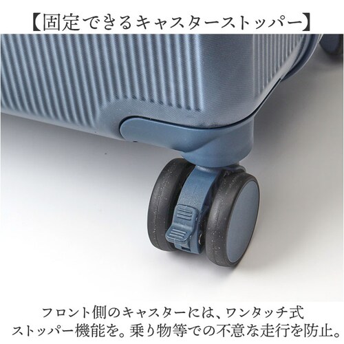 Lee ���[ �L�����[�o�b�O 320-9041 �ʔ� �L�����[�o�b�N �� 52L- 60L �L�����[�P�[�X �X�[�c�P�[�X �g�����N ���s�o�b�O ���s�J�o�� ������� ���f�B�[�X �����Y �o�b�O �o�b�N_11