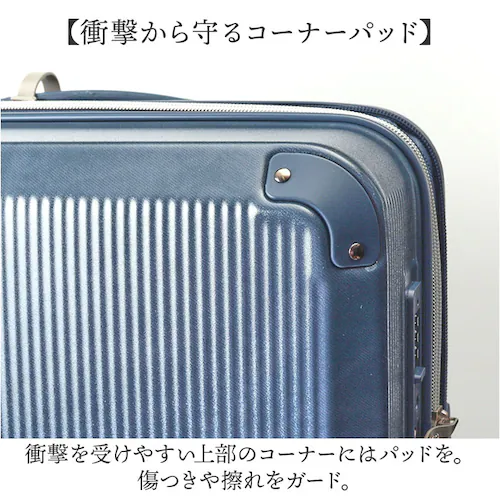 Lee ���[ �L�����[�o�b�O 320-9041 �ʔ� �L�����[�o�b�N �� 52L- 60L �L�����[�P�[�X �X�[�c�P�[�X �g�����N ���s�o�b�O ���s�J�o�� ������� ���f�B�[�X �����Y �o�b�O �o�b�N_12