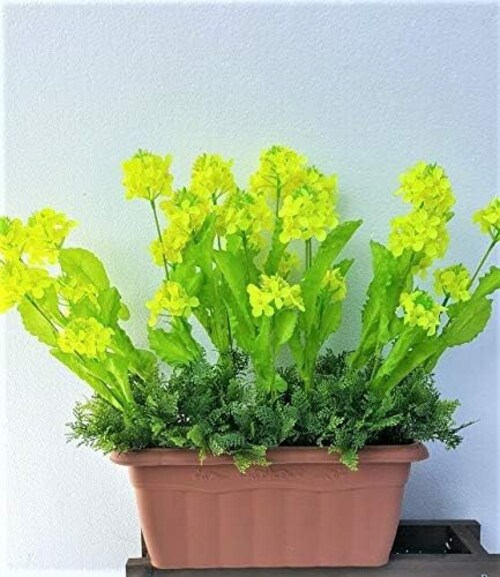 ���ԁ@�@�؂̉ԃv�����^�[3�_�Z�b�g_2