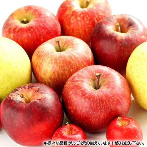 �y�o�ג��z�X���Y ��� �T���ӂ� 2kg (�G�i/5�ʁ`8�ʓ���) �����S �M�t�g ���蕨 �ʕ� ������_7