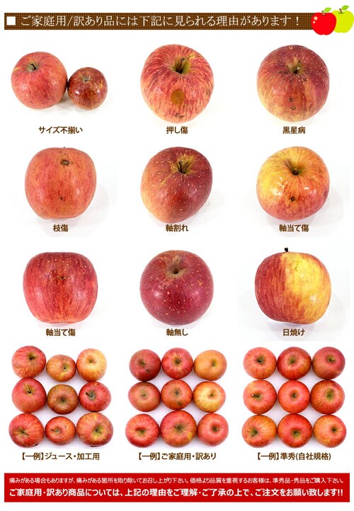 �y�o�ג��z�X���Y ���ƒ�p ��� ���� 5kg (�󂠂�/13�ʁ`23�ʓ���) �킯���� �ʕ� ������_2