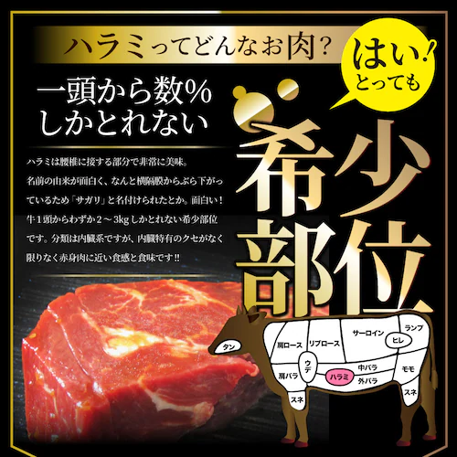 【しゃぶまる】ステーキ ハラミ 牛ハラミ ブロック 焼肉 (タレ漬け)500g(250g×2)_9