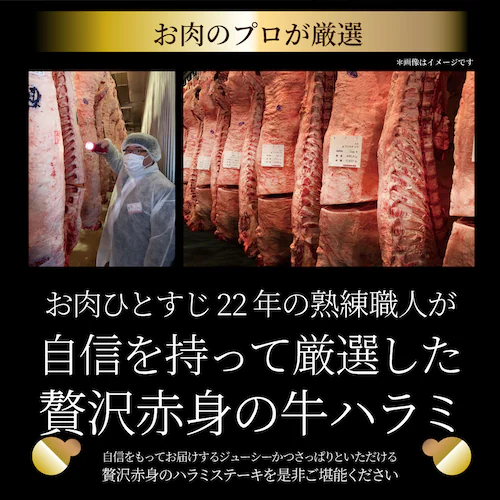 【しゃぶまる】ステーキ ハラミ 牛ハラミ ブロック 焼肉 (タレ漬け)500g(250g×2)_12