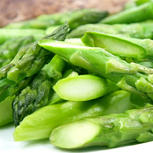 【順次出荷中】北海道産 グリーンアスパラ 500g (共撰/極太/3Lサイズ) ギフト ご家庭用 北海道 野菜 お取り寄せ_4