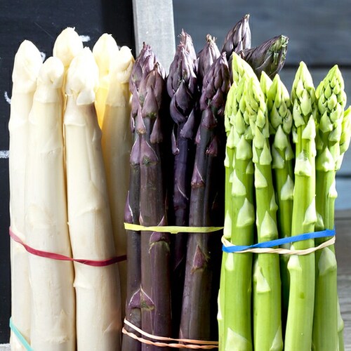 【順次出荷中】北海道産 グリーンアスパラ 500g (共撰/極太/3Lサイズ) ギフト ご家庭用 北海道 野菜 お取り寄せ_8