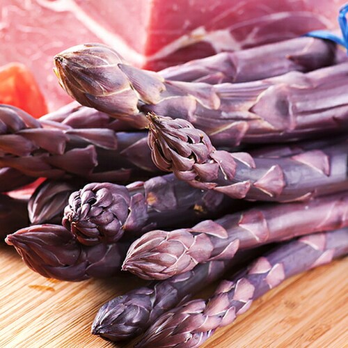 �y�\��z�k�C���Y �p�[�v���A�X�p�� 600g (����/L-2L�T�C�Y) �M�t�g ���ƒ�p �k�C�� ��� �����񂹁y������s�z_1