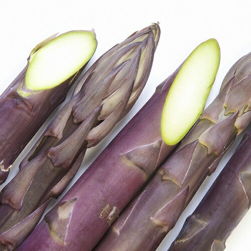 �y�\��z�k�C���Y �p�[�v���A�X�p�� 600g (����/L-2L�T�C�Y) �M�t�g ���ƒ�p �k�C�� ��� �����񂹁y������s�z_4