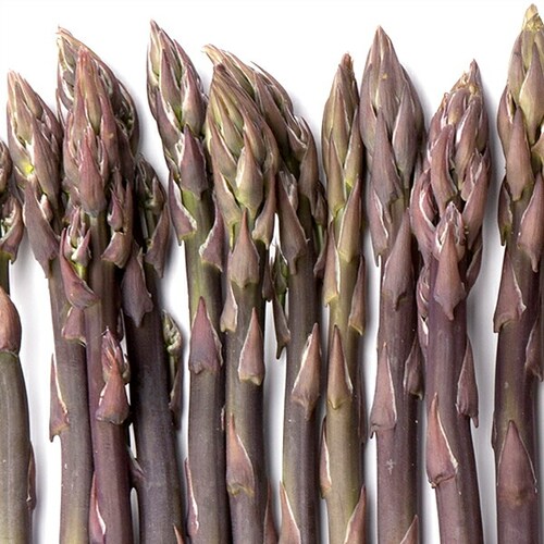 �y�\��z�k�C���Y �p�[�v���A�X�p�� 600g (����/L-2L�T�C�Y) �M�t�g ���ƒ�p �k�C�� ��� �����񂹁y������s�z_5