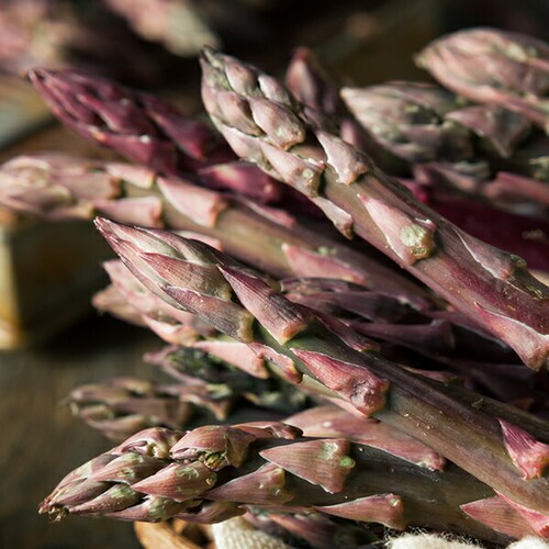 �y�\��z�k�C���Y �p�[�v���A�X�p�� 600g (����/L-2L�T�C�Y) �M�t�g ���ƒ�p �k�C�� ��� �����񂹁y������s�z_6