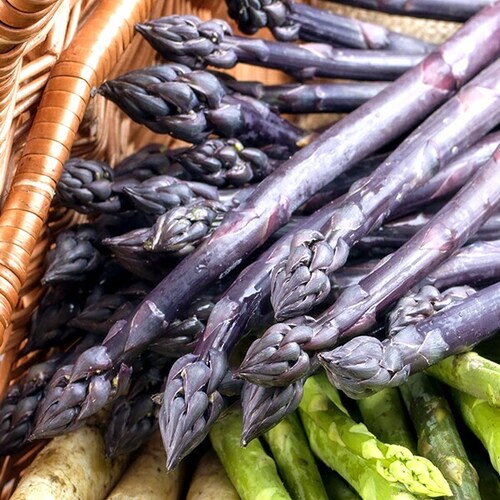 �y�\��z�k�C���Y �p�[�v���A�X�p�� 600g (����/L-2L�T�C�Y) �M�t�g ���ƒ�p �k�C�� ��� �����񂹁y������s�z_8