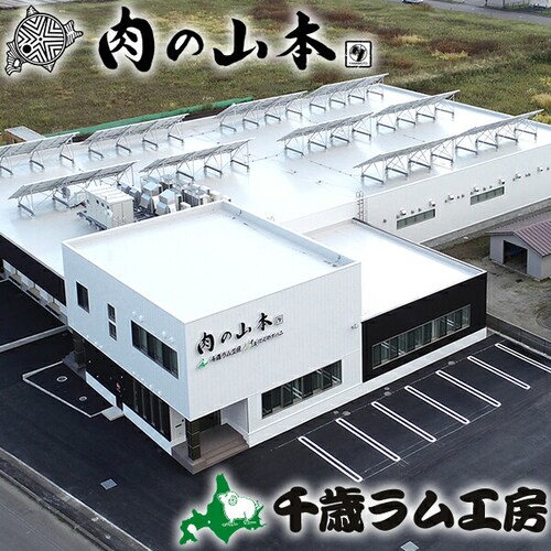 ジンギスカン ラム肉 北海道産 サフォークラム ステーキ 500g (ソース付き) ギフト ご家庭用 お取り寄せ_8