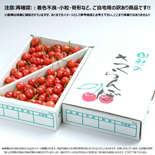 【今季食べ納め】山形県産 ご家庭用 さくらんぼ 紅秀峰 1kg (訳あり/Lサイズ/ばら詰め/クール便) べにしゅうほう 自宅用 家庭用 果物 フルーツ 山形県直送 お取り寄せ_1