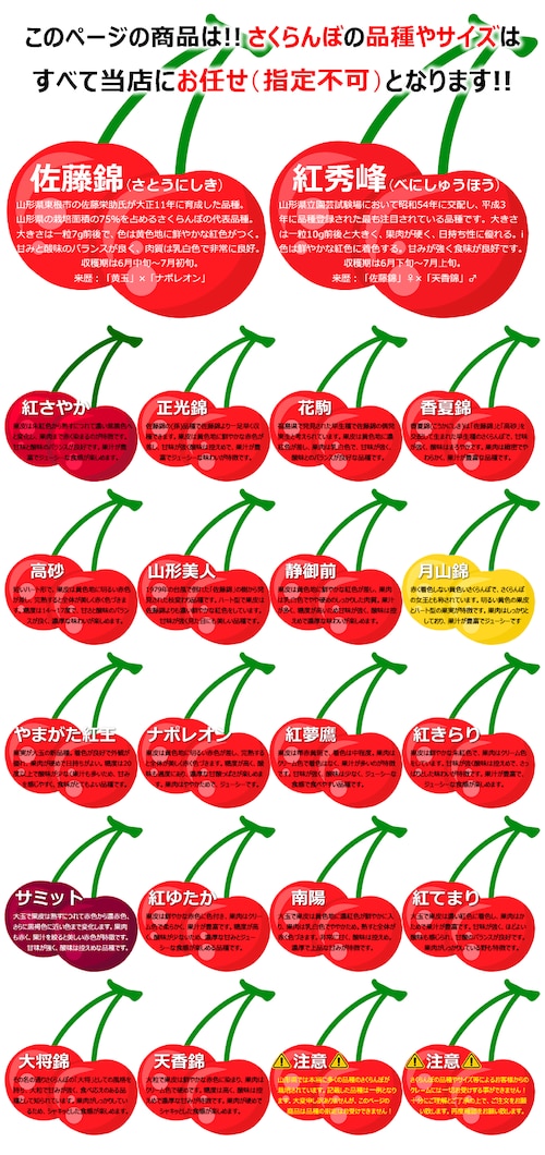 【今季食べ納め/お届け日指定不可】 生産者応援 山形県産 ご家庭用 さくらんぼ 1kg×1箱 (訳あり/品種・サイズお任せ/ばら/クール便) 果物 フルーツ 山形県直送 産地直送 お取り寄せ_1
