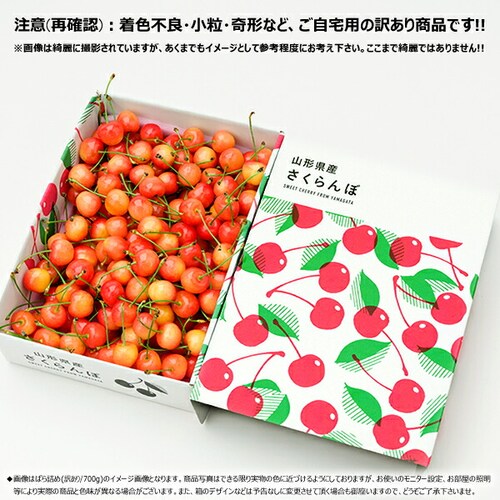 【予約】山形県産 ご家庭用 さくらんぼ 佐藤錦 700g (訳あり/Mサイズ/ばら詰め/クール便) 自宅用 家庭用【代引き不可】_1