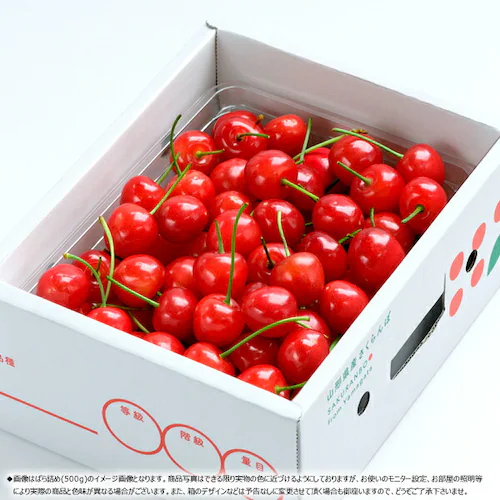 【今季食べ納め】山形県産 さくらんぼ 紅秀峰 500g (秀品/Lサイズ/ばら詰め/クール便) べにしゅうほう お中元 ギフト 贈り物 お祝 内祝 ご家庭用 果物 フルーツ 山形県直送 お取り寄せ_1