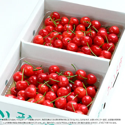 【今季食べ納め】山形県産 さくらんぼ 紅秀峰 500g (秀品/Lサイズ/ばら詰め/クール便) べにしゅうほう お中元 ギフト 贈り物 お祝 内祝 ご家庭用 果物 フルーツ 山形県直送 お取り寄せ_16