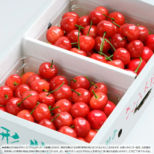 �y�\��z���̓� �������� ������ 700g (�G�i/M�T�C�Y/�o���l��/�N�[����) �v���[���g ���̓��M�t�g�y������s�z_2