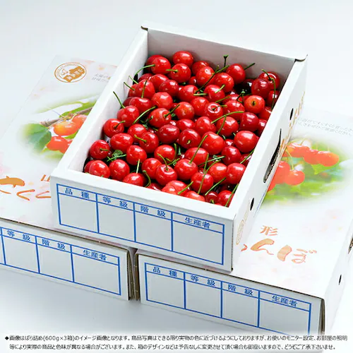 【今季食べ納め】山形県産 さくらんぼ 紅秀峰 1kg (秀品/Lサイズ/ばら詰め/500g×2p/クール便) べにしゅうほう お中元 ギフト 贈り物 お祝 内祝 ご家庭用 果物 フルーツ 山形県直送 _17