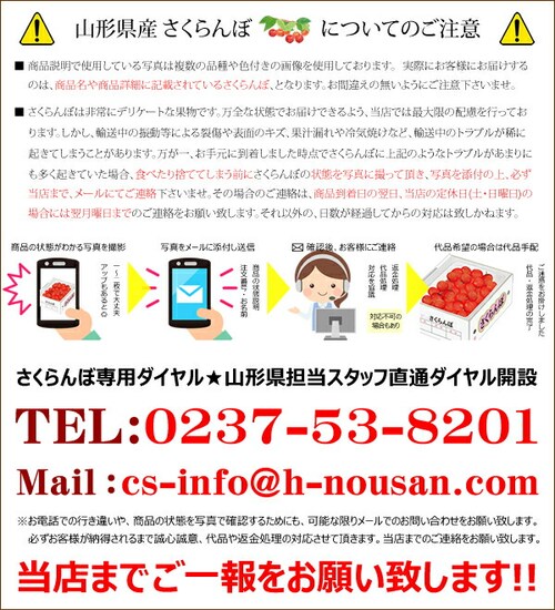 �y5��8��(��)�ɂ��͂��z��̓� �������� ������ (�����n�E�X/�G�i/L�T�C�Y/24������) �M�t�g �v���[���g ��̓��M�t�g_11